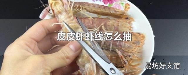 皮皮虾虾线怎么抽