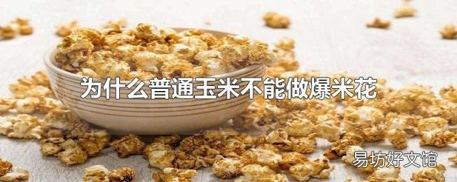 为什么普通玉米不能做爆米花