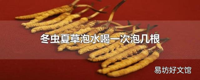 冬虫夏草泡水喝一次泡几根