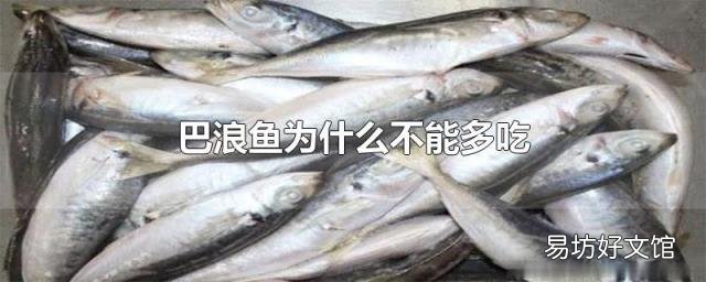 巴浪鱼为什么不能多吃