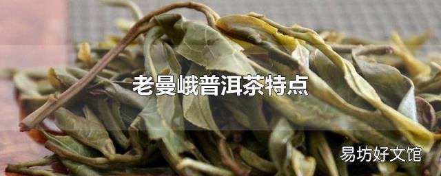 老曼峨普洱茶特点