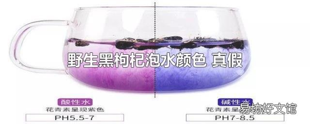 野生黑枸杞泡水颜色 真假