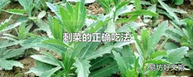 刺菜的正确吃法