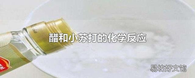 醋和小苏打的化学反应