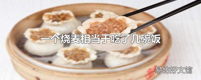 一个烧麦相当于吃了几碗饭