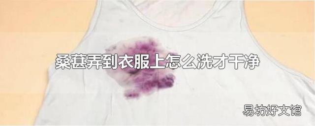 桑葚弄到衣服上怎么洗才干净