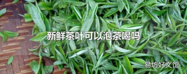 新鲜茶叶可以泡茶喝吗