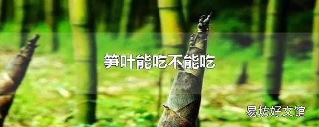 笋叶能吃不能吃