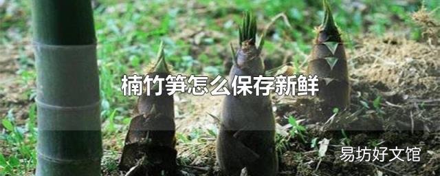 楠竹笋怎么保存新鲜