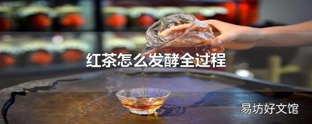 红茶怎么发酵全过程