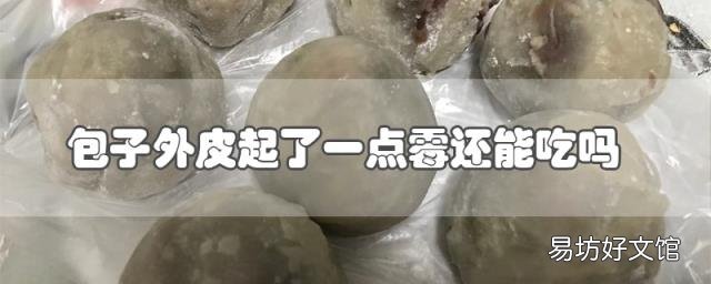 包子外皮起了一点霉还能吃吗