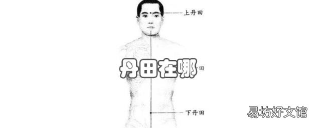 丹田在哪