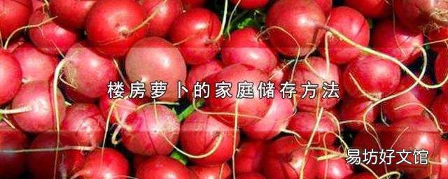 楼房萝卜的家庭储存方法