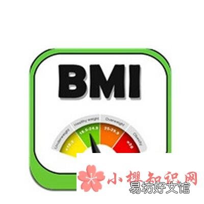 bmi指数怎么算？