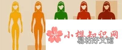 bmi指数怎么算？