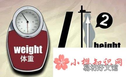 bmi指数怎么算？