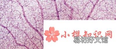 磕碰后皮肤为什么出现乌青块?