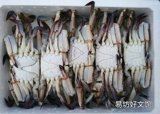 梭子蟹怎么看死了多久 梭子蟹刚死放明天吃行吗