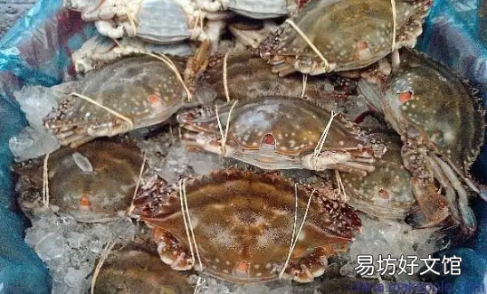 梭子蟹怎么挑選 今天買的梭子蟹明天吃怎么辦