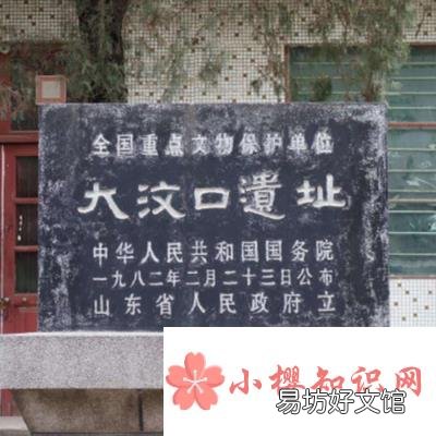 大汶口文化遗址在我国的哪个省？