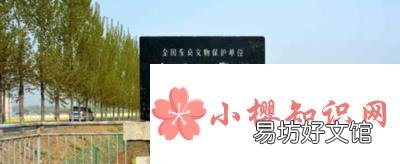 大汶口文化遗址在我国的哪个省？