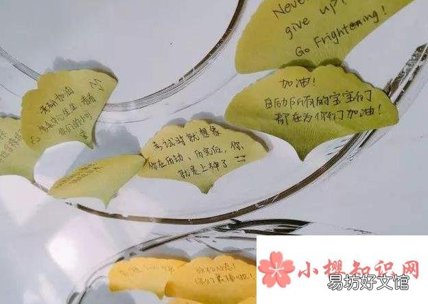 考研祝福语和鼓励的话