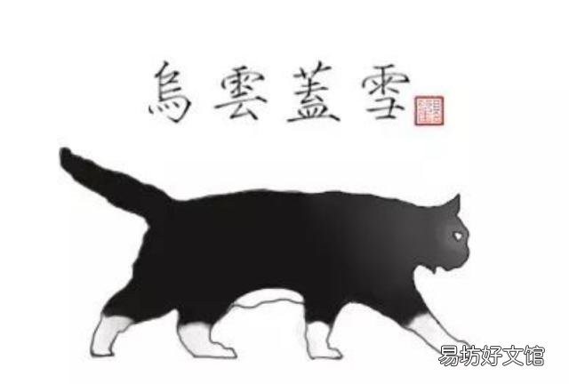 黑白猫与奶牛猫的区别(黑白猫与奶牛猫的区别图片)