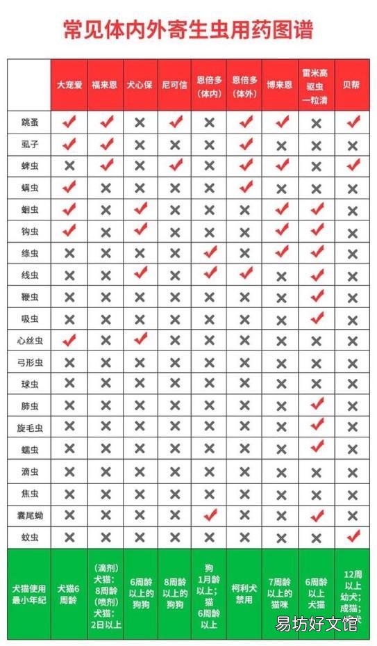 猫咪体外驱虫多久一次(家养猫咪体外驱虫多久一次)