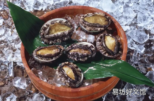 鲍鱼冷冻注意事项 鲍鱼直接冷冻还是煮熟后冷冻