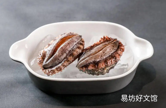 鲍鱼冷冻注意事项 鲍鱼直接冷冻还是煮熟后冷冻