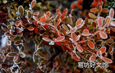 霜降温度会很低吗 2022年霜降后天气还热吗