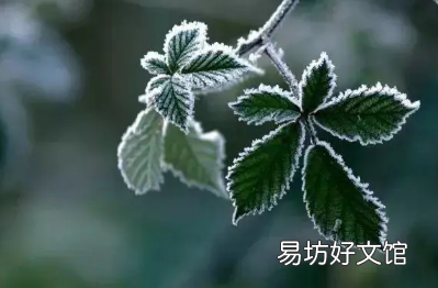 霜降温度会很低吗 2022年霜降后天气还热吗
