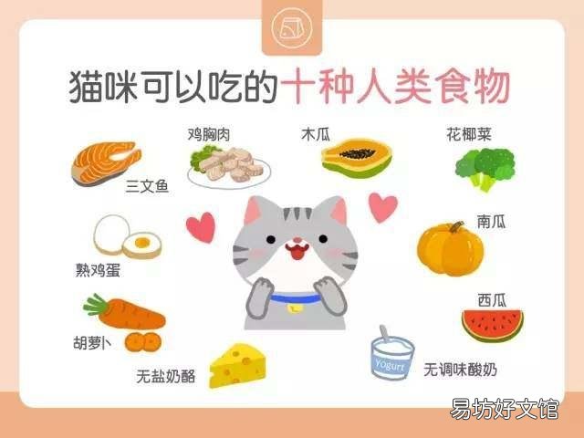 自制猫粮食谱大全(自制猫粮食谱窍门)