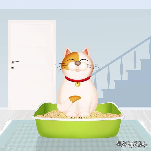 豆腐猫砂可以冲厕所吗(豆腐猫砂能直接冲厕所吗)