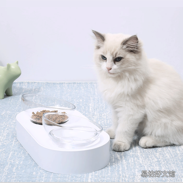自制猫饭能代替猫粮吗(自制猫饭能代替猫粮吗百度)