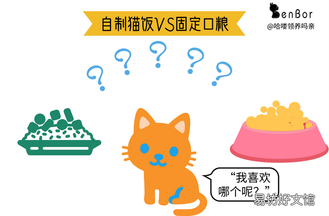 自制猫饭能代替猫粮吗(自制猫饭能代替猫粮吗百度)