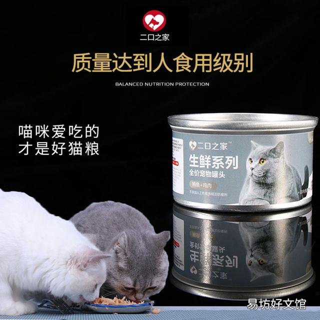 猫罐头打开能放多久(猫罐头打开能放多久不坏)