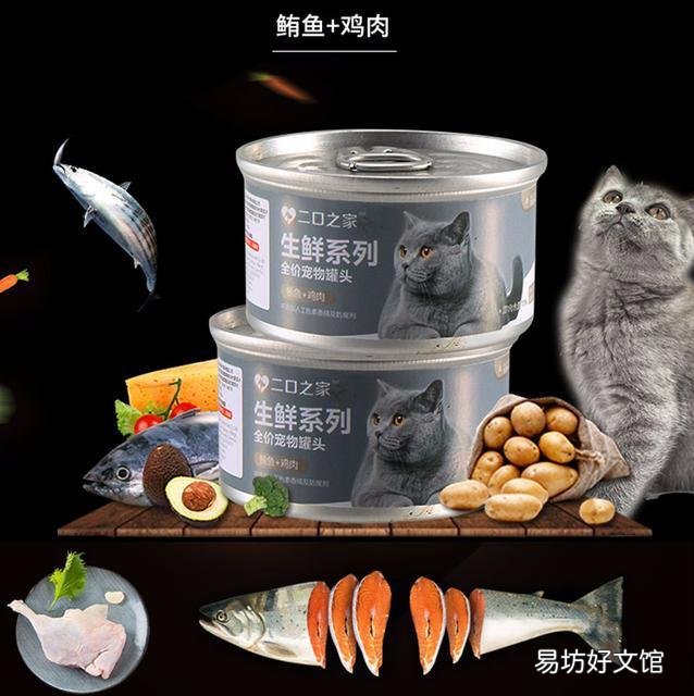 猫罐头打开能放多久(猫罐头打开能放多久不坏)