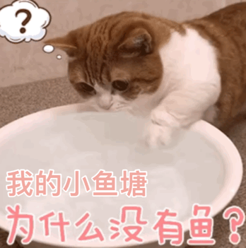 猫喝什么水比较好(宠物猫喝什么水比较好)