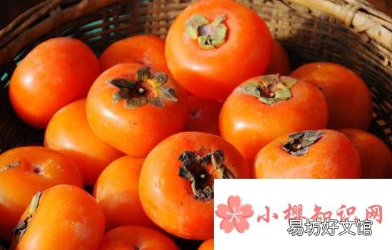 柿子不能和什么一起吃