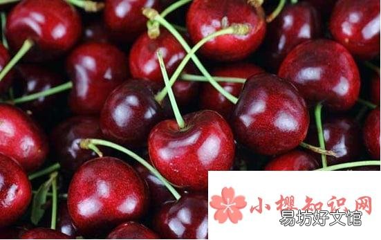 车厘子和樱桃有啥区别吗