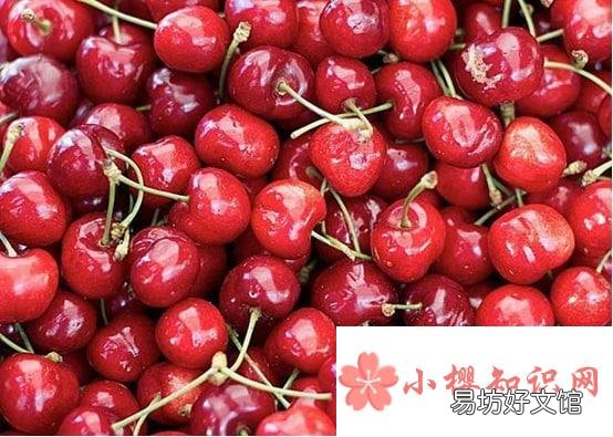 车厘子和樱桃有啥区别吗