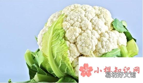 青春期女孩吃什么可以丰胸