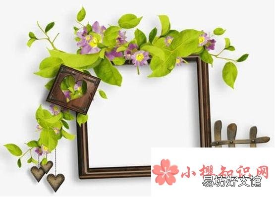 朋友求婚送什么礼物好