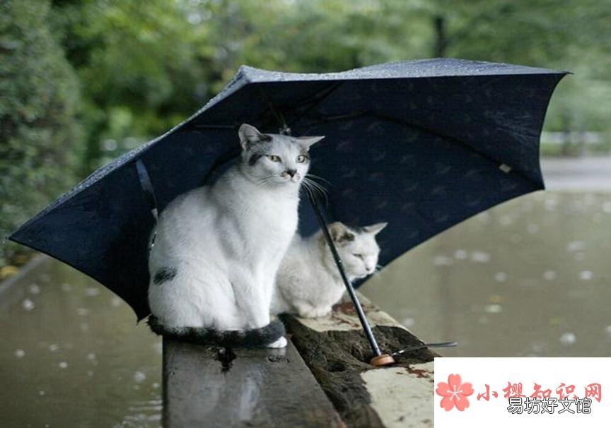 2022年十一月下雨正常吗