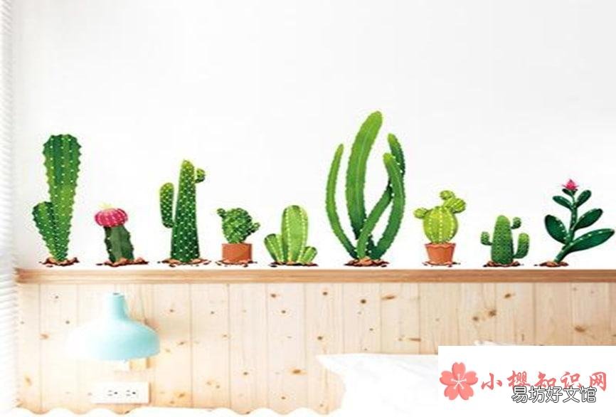 房间里放植物能增强活力阳气吗