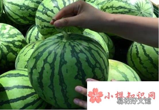 你知道挑选西瓜的小技巧吗
