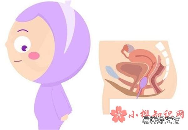 怎么样能生男孩的机率大