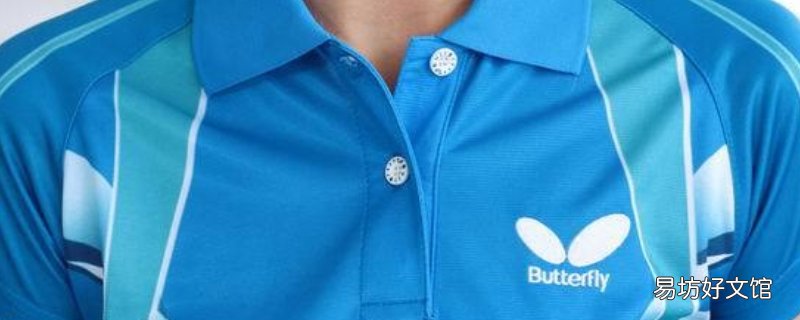 两个乒乓球拍的衣服牌子