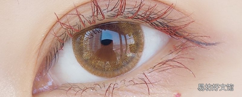 年抛美瞳多久换一次护理液